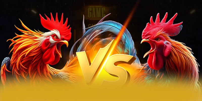 So sánh của W88 trong cùng phân khúc So sánh của W88 trong cùng phân khúc